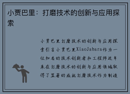 小贾巴里：打磨技术的创新与应用探索